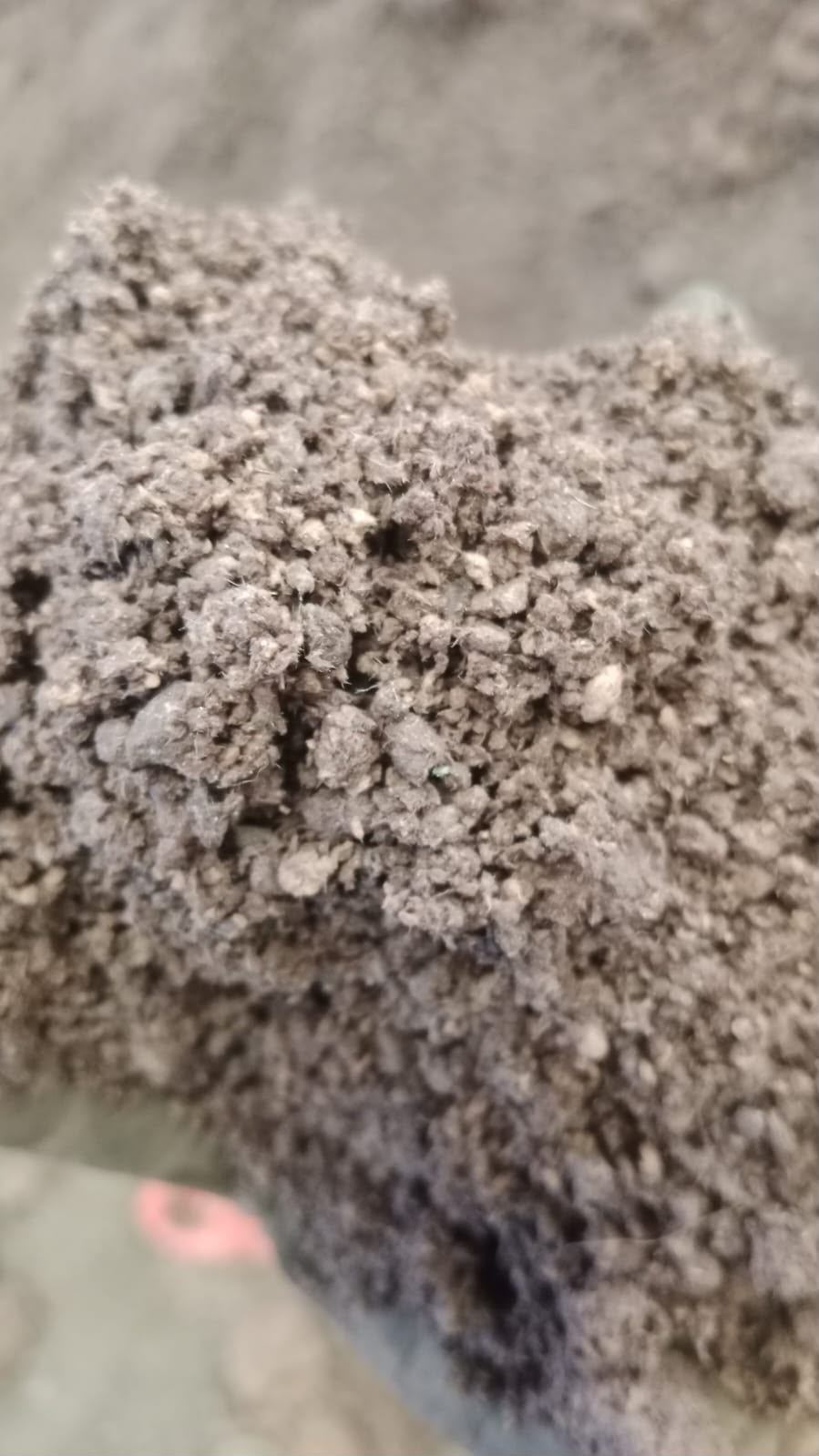 Sludge IPAL pabrik kertas berwarna abu gelap